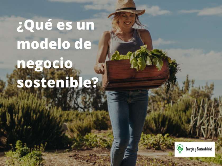 modelo de negocio sostenible ante el cambio climático