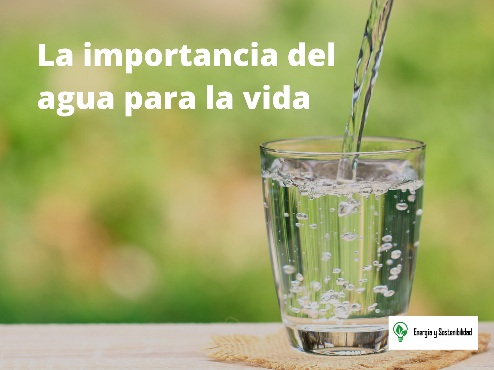 la importancia del agua para la vida