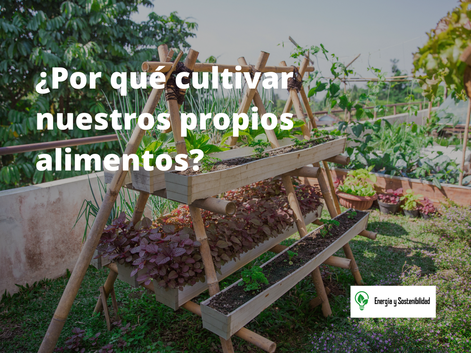 cultivar nuestros alimentos