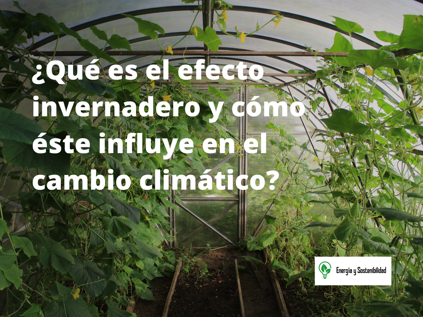 el efecto invernadero y su influencia en el cambio climático