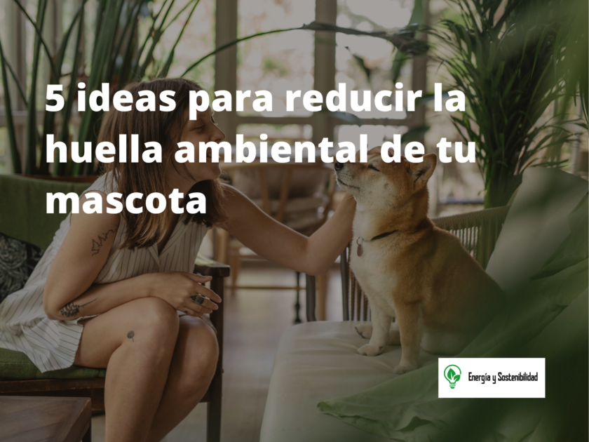 ideas para reducir la huella ambiental de tu mascota